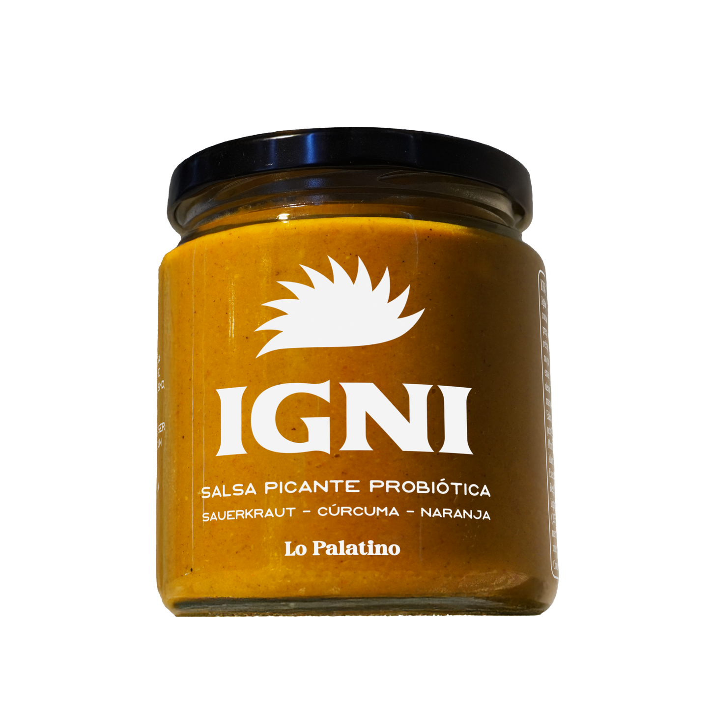 IGNI - Salsa Probiótica