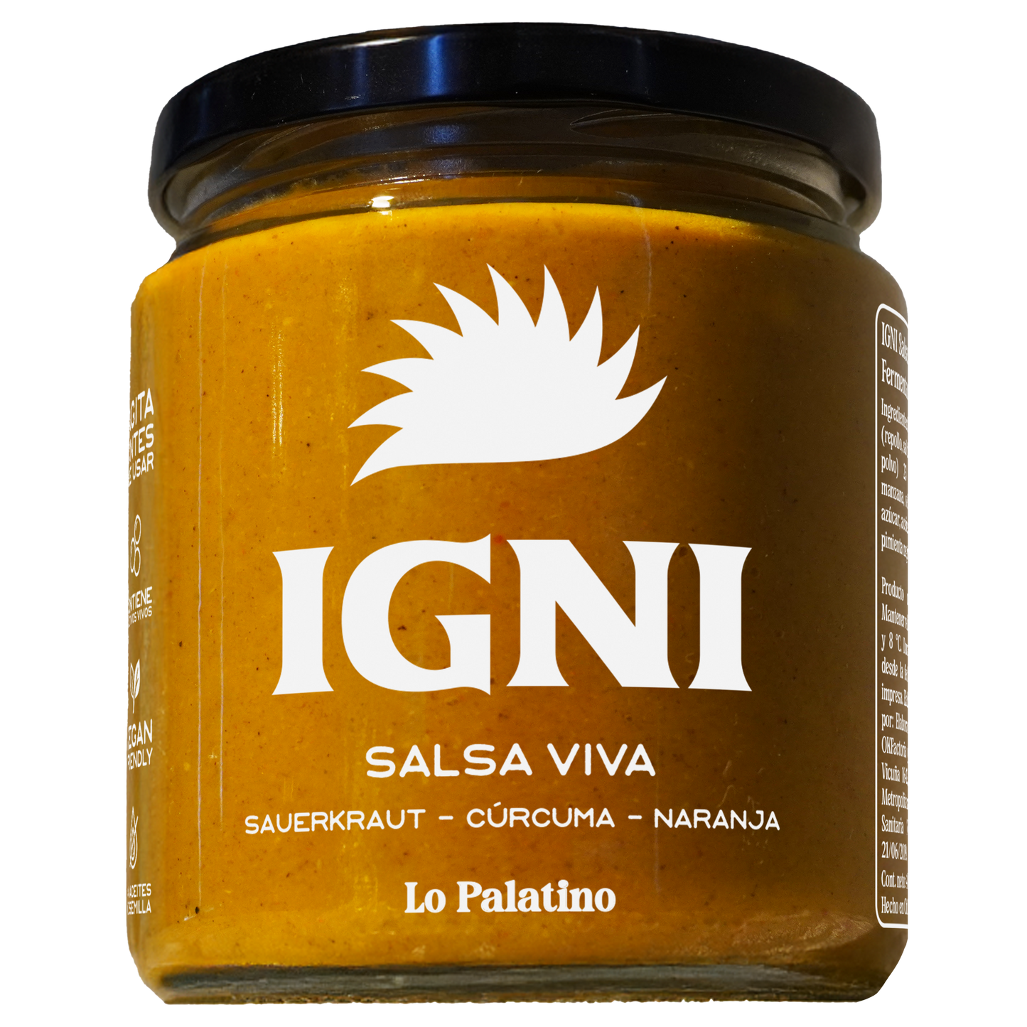 IGNI - Salsa Viva